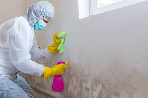 Best Mold Prevention Services  in Red Rock, AZ